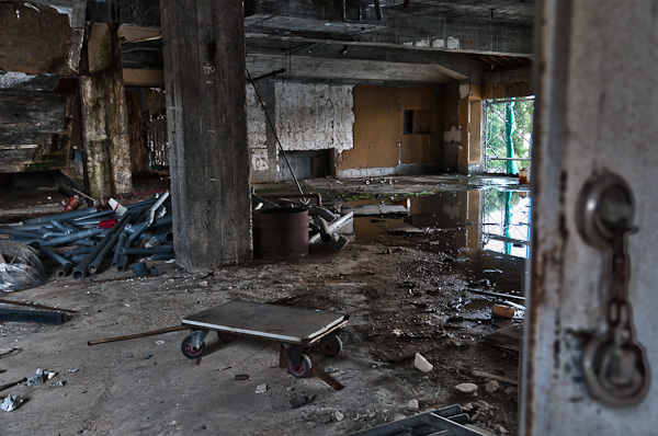 和歌浦探索　其の十一　上に上に-5