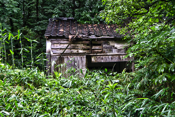 結核病棟 其の四 エピローグ-1