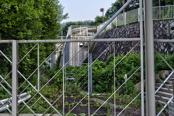 アクアパーク東山 其の壱-2