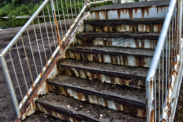 アクアパーク東山　其の弐-3