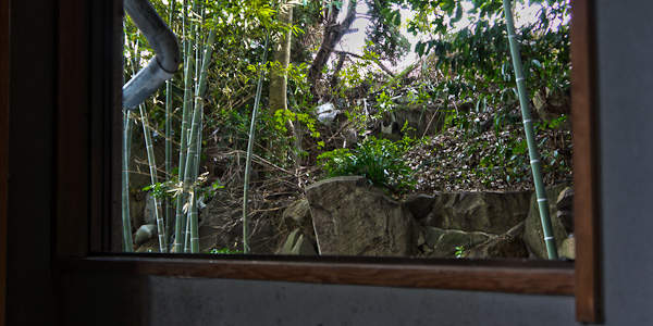 ◆岬カーニバルワーフ　其の弐　B1F-2