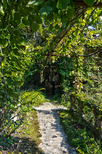 白石鉱山-白亜の迷宮 その六-7