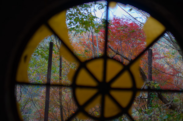 マヤカンの秋の紅葉-1