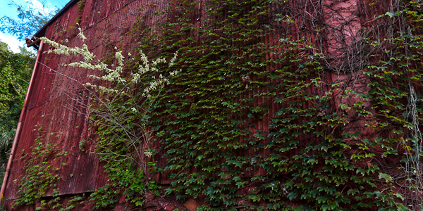 ◆岡山　弁柄工場　其の一-5