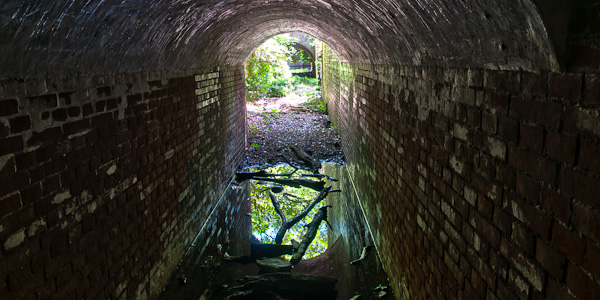 ]◆友ヶ島　其の十　第一砲台 北側-7