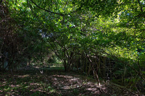 ◆白石鉱山-白亜の迷宮 その九 管理棟-3