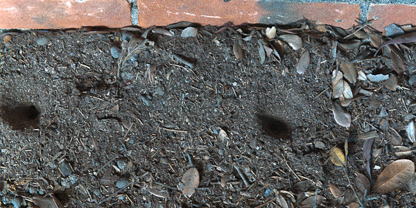 ◆友ヶ島 其の拾陸 聴音所跡-5