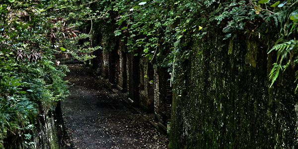 ◆友ヶ島 其の弐拾 第三砲台 続編-1