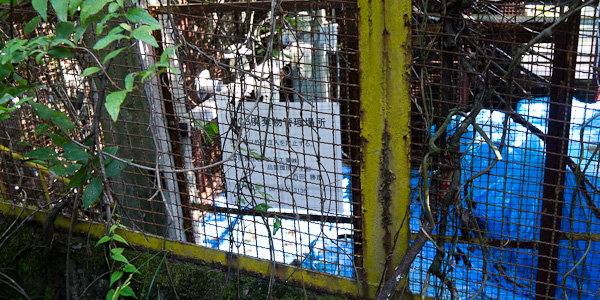 ◆白石鉱山-白亜の迷宮 その壱拾-7