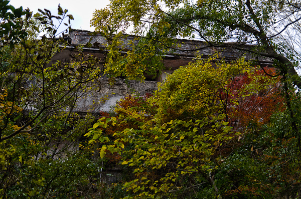 ◆秋のマヤカン 其の弐-2