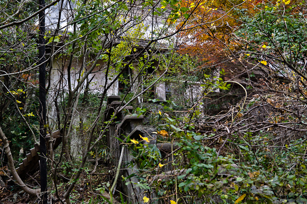 ◆秋のマヤカン 其の弐-3