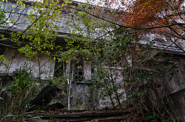 ◆秋のマヤカン 其の弐-4