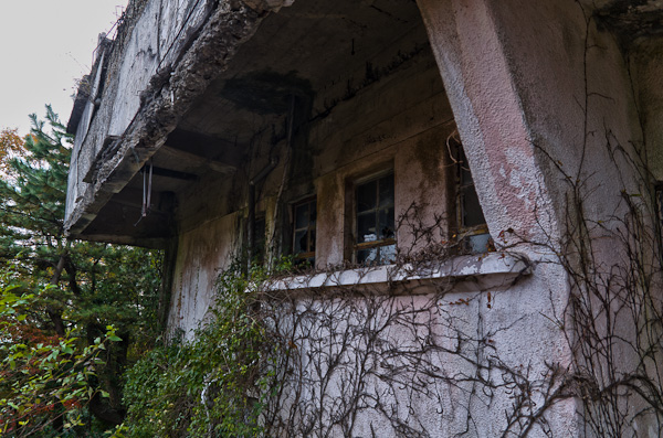 ◆秋のマヤカン 其の弐-5