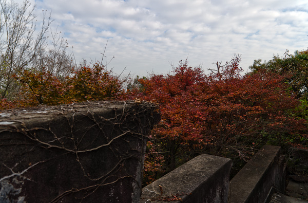 ◆秋のマヤカン 其の弐-6