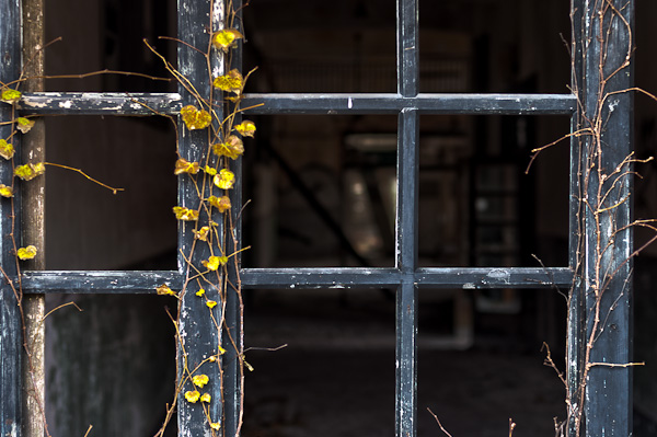 ◆秋のマヤカン 其の弐-7