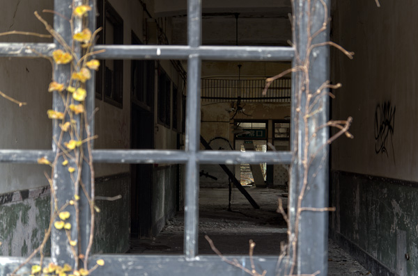 ◆秋のマヤカン 其の弐-8