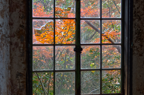 ◆秋のマヤカン 其の参-2