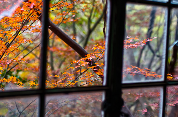 ◆秋のマヤカン 其の参-3