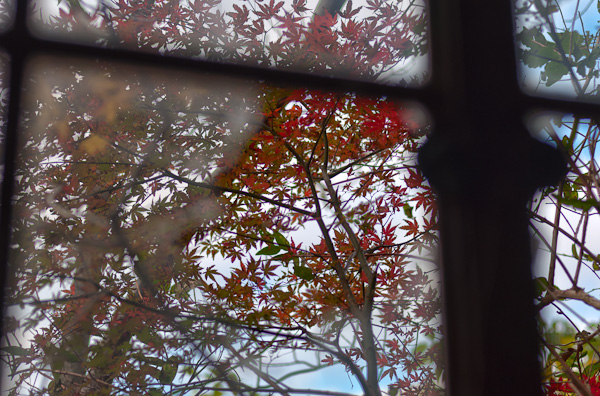 ◆秋のマヤカン 其の参-4