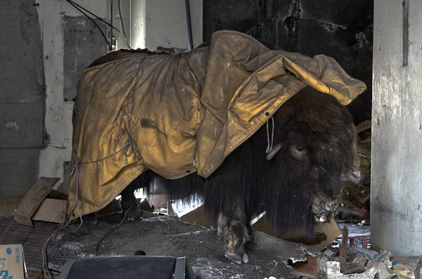 ◆名阪健康ランド 其の壱-5