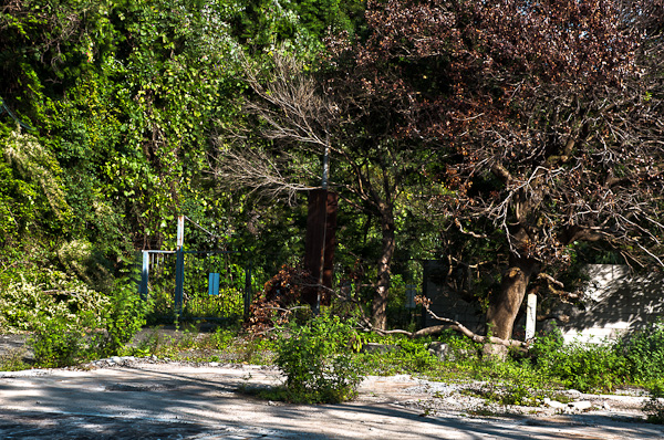◆白石鉱山-白亜の迷宮 其の壱拾伍 正門~工場に-4