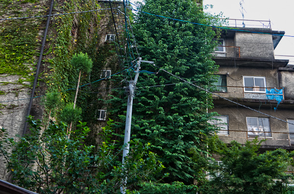 ◆光華寮 其の弐-2