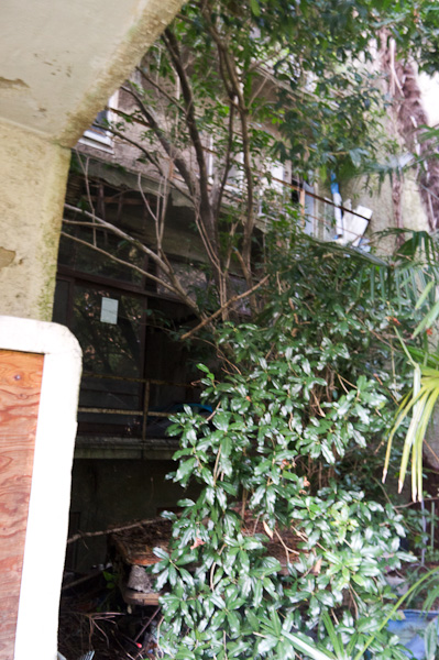 ◆光華寮 其の弐-4