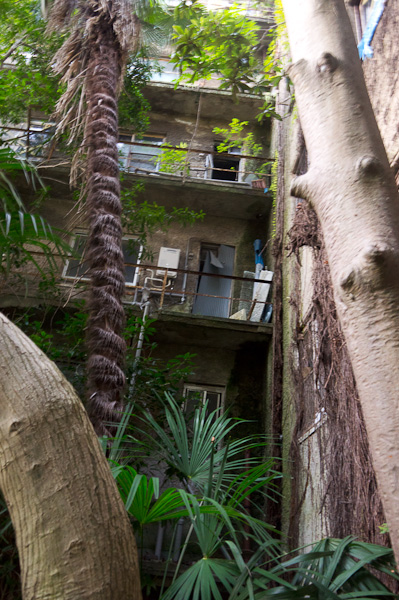 ◆光華寮 其の弐-5