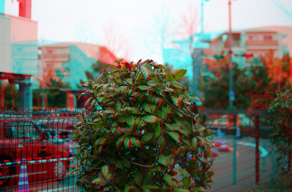 ◆３D 立体写真の実験その２-4