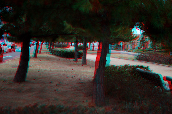 ◆３D 立体写真の実験その２-5