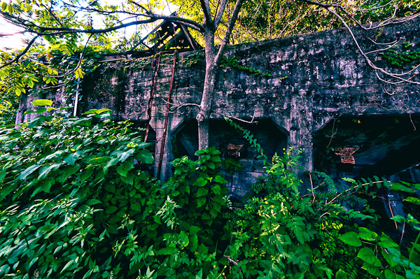 ◆白石鉱山-白亜の迷宮　其の弐拾　山頂へ-8