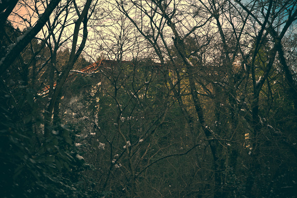 ◆湯原温泉ロープウェイ跡 其の壱-3