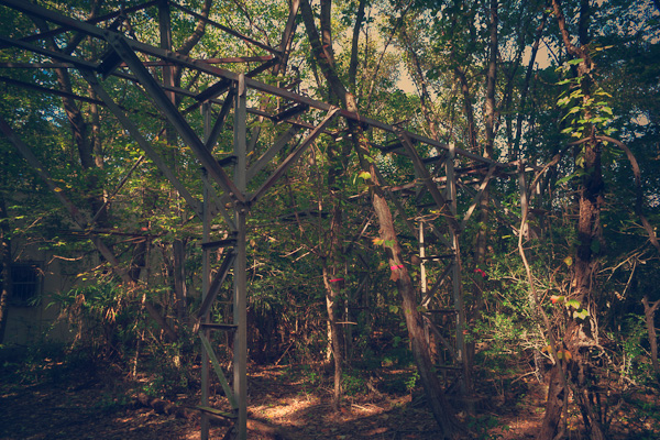 ◆米軍府中基地 其の伍 パラボラの麓へ-5