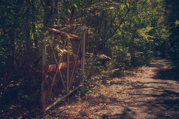 ◆米軍府中基地 其の伍 パラボラの麓へ-7