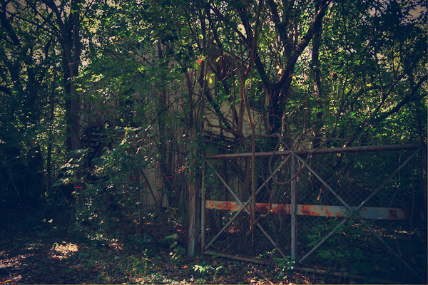 ◆米軍府中基地 其の伍 パラボラの麓へ-8