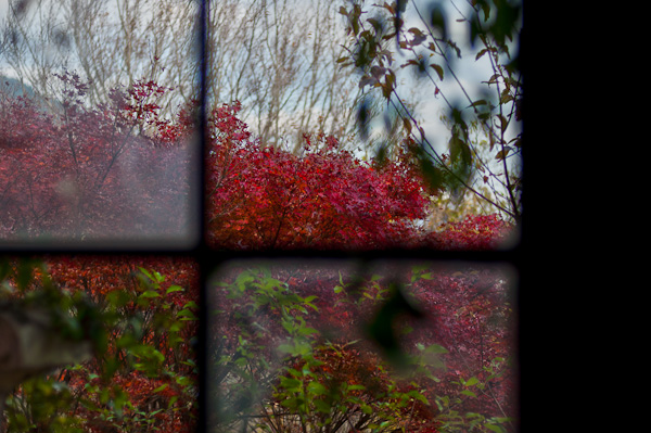 ◆秋のマヤカン 其の六-5