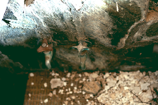 ◆秋のマヤカン 其の六-8