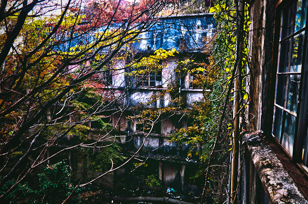 ◆秋のマヤカン 其の七-2