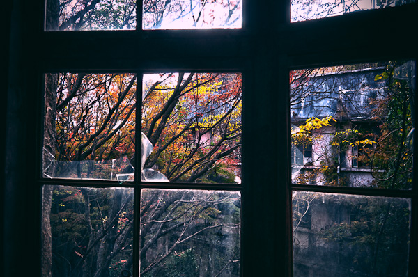 ◆秋のマヤカン 其の七-3