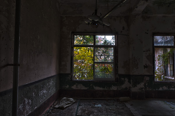 ◆秋のマヤカン 其の七-6