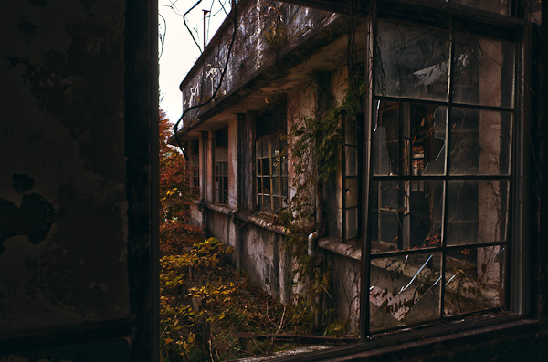 ◆秋のマヤカン 其の七-7