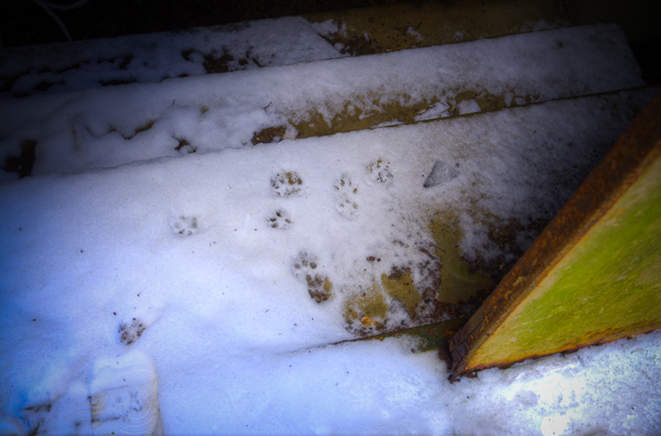 ◆湯原温泉ロープウェイ跡 其の漆 マシンルーム-1