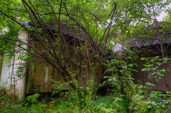 ◆獣人病院 其の壱-3