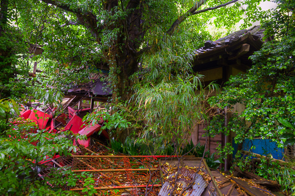 ◆獣人病院 其の壱-4