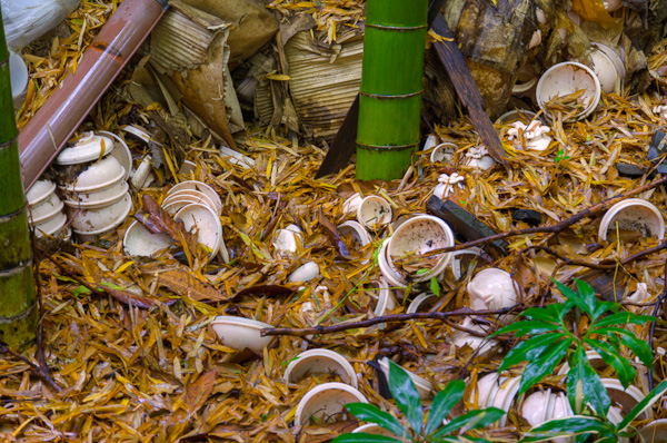 ◆獣人病院 其の壱-7