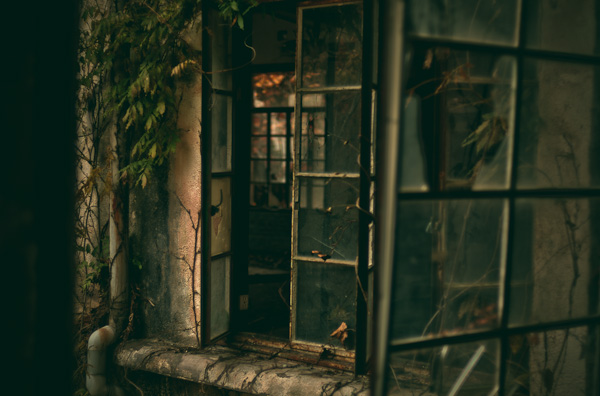 ◆秋のマヤカン 其の捌-1