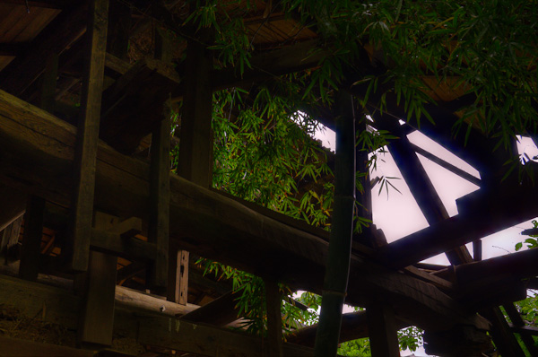 ◆獣人病院 其の弐-5