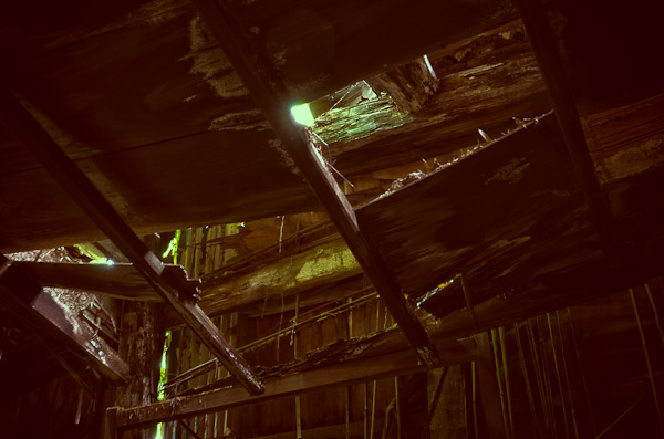 ◆獣人病院　其の参-4