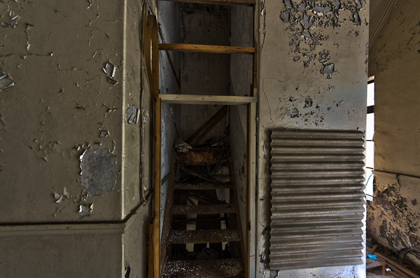 ◆秋のマヤカン 其の玖-7