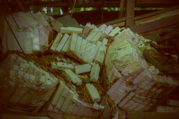 ◆獣人病院　其の肆-1